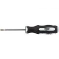 Draper Expert Hammer Through Pozi Screwdriver PZ2 100mm