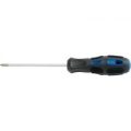 Draper Expert Phillips Screwdriver PH0 75mm