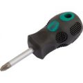 Draper Expert Pozi Screwdriver PZ2 38mm