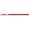 ARS EXP Telescopic Pole for Pole Saw Heads 3.2m