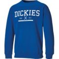 Dickies Mens Jansen Printed Sweatshirt Royal Blue S