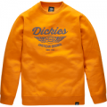 Dickies Mens Everett Sweatshirt Orange / Navy S