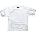 Dickies Mens Crew T Shirt White M