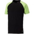 Dickies Two Tone T-Shirt Black / Lime S